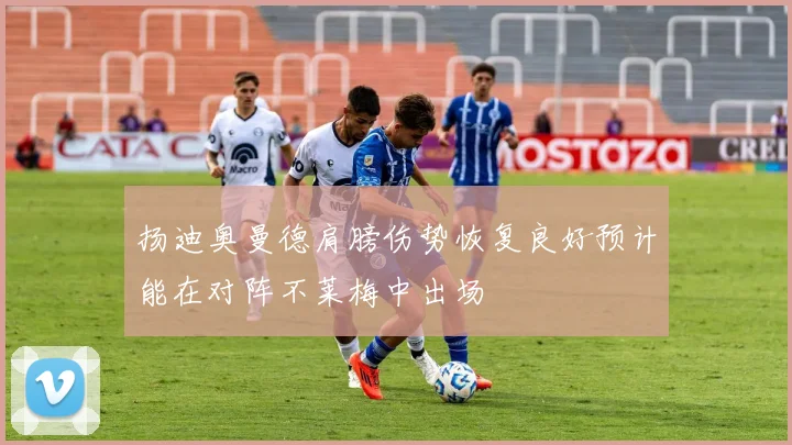 扬迪奥曼德肩膀伤势恢复良好预计能在对阵不莱梅中出场