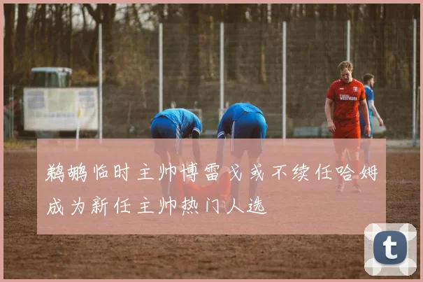 鹈鹕临时主帅博雷戈或不续任哈姆成为新任主帅热门人选