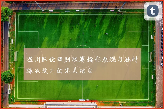 温州队低级别联赛精彩表现与独特球衣设计的完美结合